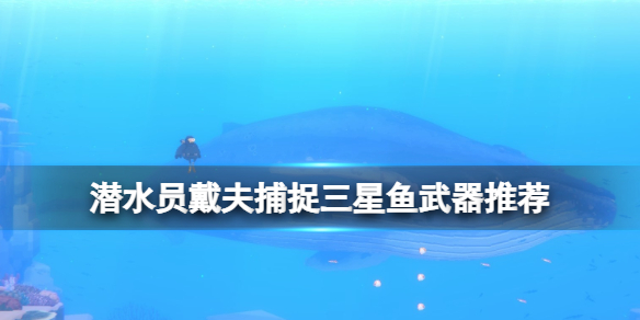 【潜水员戴夫攻略】潜水员戴夫捕捉三星鱼武器推荐（详细教程）