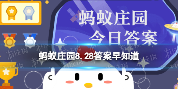 【攻略】方便面吃下去后32小时内无法消化这是真的吗（详细教程）