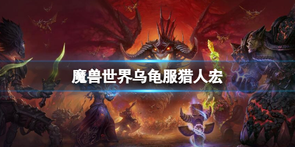 【魔兽世界攻略】魔兽世界乌龟服猎人宏（详细教程）