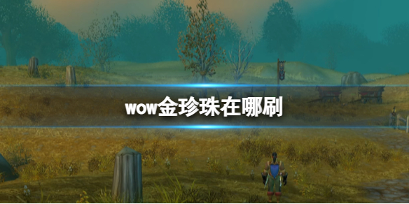 【魔兽世界攻略】wow金珍珠在哪刷（详细教程）