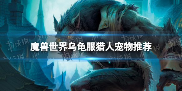 【魔兽世界攻略】乌龟服猎人宠物怎么选择（详细教程）