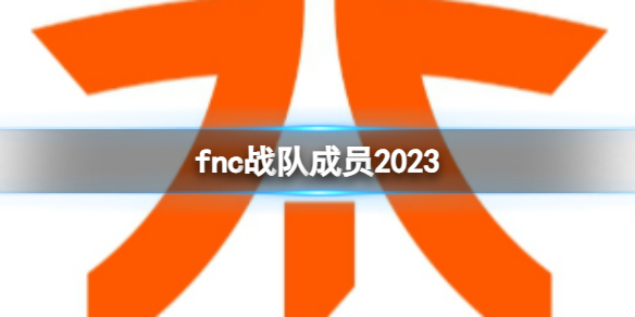 【英雄联盟攻略】fnc战队成员2023（详细教程）