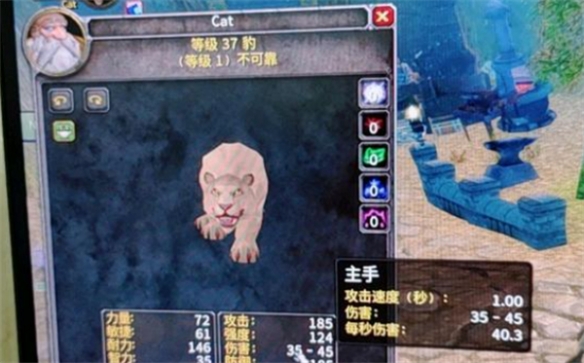 【魔兽世界攻略】乌龟服断牙优势介绍（详细教程）