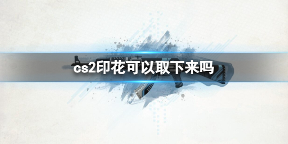 【反恐精英2攻略】cs2印花可以取下来吗（详细教程）