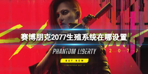 【赛博朋克2077攻略】赛博朋克2077生殖系统在哪设置（详细教程）