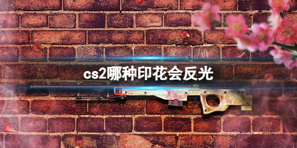 【反恐精英2攻略】cs2哪种印花会反光（详细教程）