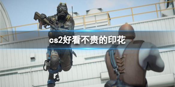 【反恐精英2攻略】cs2好看不贵的印花（详细教程）