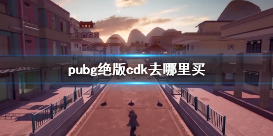 【绝地求生大逃杀攻略】pubg绝版cdk去哪里买（详细教程）