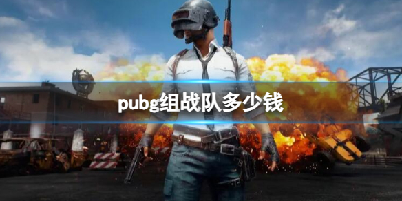 【绝地求生大逃杀攻略】pubg组战队多少钱（详细教程）