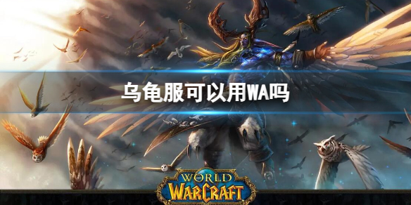 魔兽世界乌龟服可以用WA吗