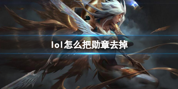 英雄联盟lol怎么把勋章去掉