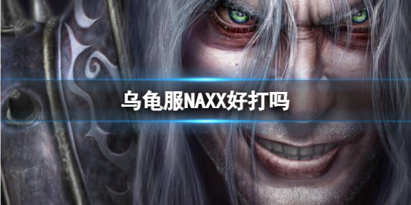 魔兽世界乌龟服NAXX好打吗