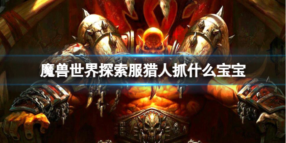 魔兽世界魔兽世界探索服猎人抓什么宝宝