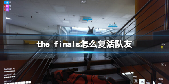 THE FINALSthe finals怎么复活队友