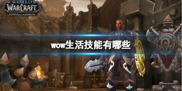 魔兽世界wow生活技能有哪些