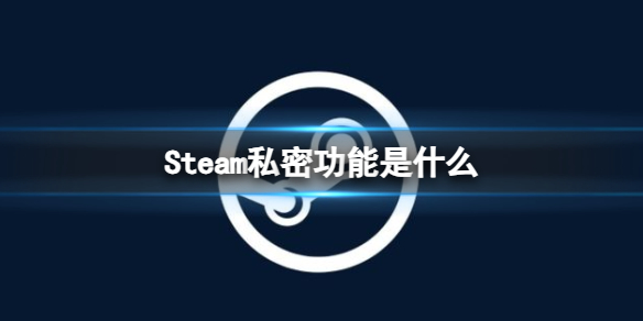 Steam私密功能是什么