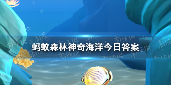 【攻略】神奇海洋5月28日答案（详细教程）